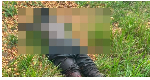 Brother kills 40-year-old man over alleged attempt to rape sister