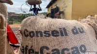 Tree trucks loaded with 1,500 bags of cocoa beans on the border with Guinea were seized
