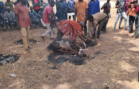 A scene from the purification rites