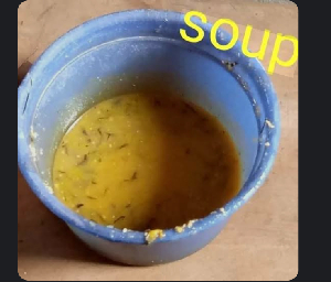 Zontoli.png