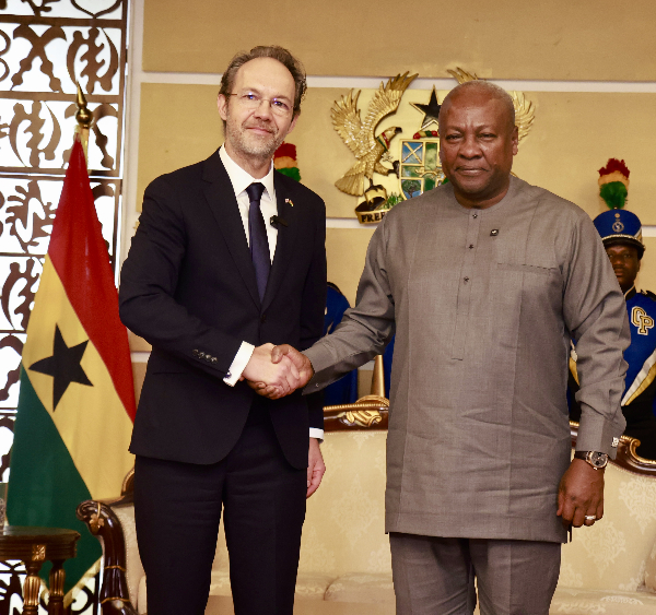 Dr Christian Rogg meets President John Mahama at his credential presentation