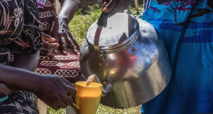 Chai, made by boiling tea in generous amounts of milk, is sometimes flavoured with ginger and spices