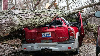 A downed tree crushes a car in Union City, Michigan
