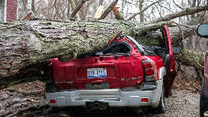 A downed tree crushes a car in Union City, Michigan
