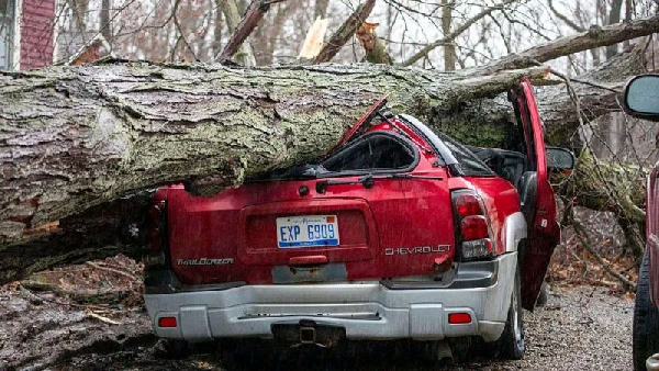 A downed tree crushes a car in Union City, Michigan