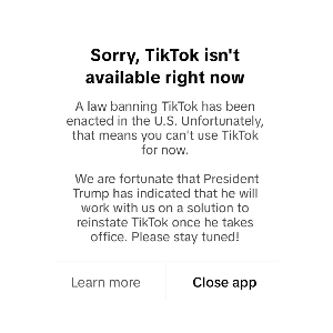 TikTok currently unavailable in the US
