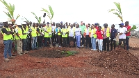 Tree planting exercise