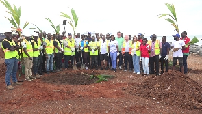 Tree planting exercise