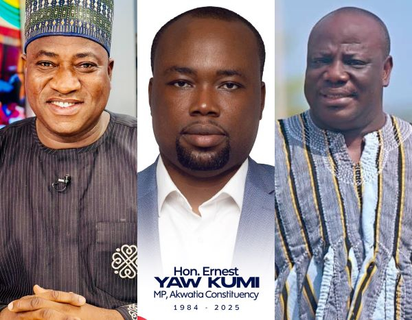 The seats of Dr Murtala Mohammed, Ernest Kumi and Matthew Nyindam have all suffered this fate