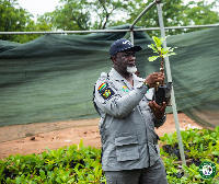 Dr Andy Osei Okrah is the CEO of the Tree Crops Development Authority
