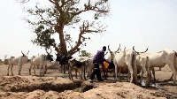 The herdsmen until now, had accused the police-military team of killing about 200 cattle