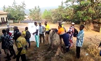 Residents in queue ready to cast their vote