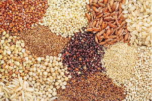 File photo of grains