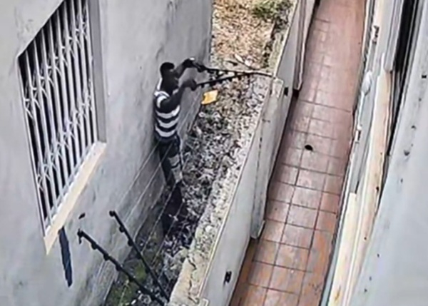 Burglar captured on camera dismantling wire fence