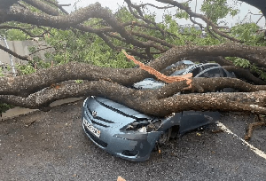 GM5mZrzXwAA ViKcars Damages By Uprooted Trees3
