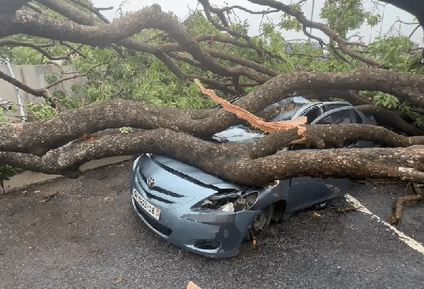 One of the vehicles destroyed by fallen trees at Airport