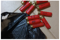 Live cartridges recovered by the police