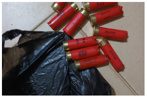 Live  Catride