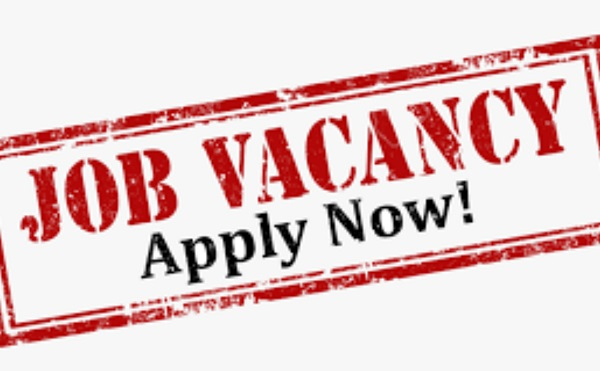 These positions are critical to assist the bank excel in its client engagements