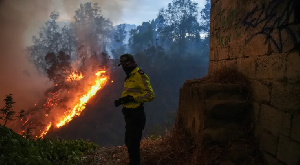 Fires burn in a forested area in a suburb of Quito, Ecuador's capital