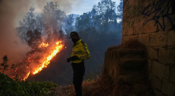 Fires burn in a forested area in a suburb of Quito, Ecuador's capital