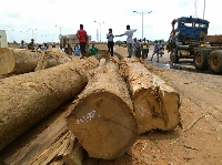 File photo of a timber market