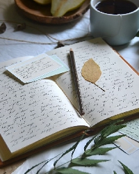 A pencil and a leaf  placed in the middle of a book