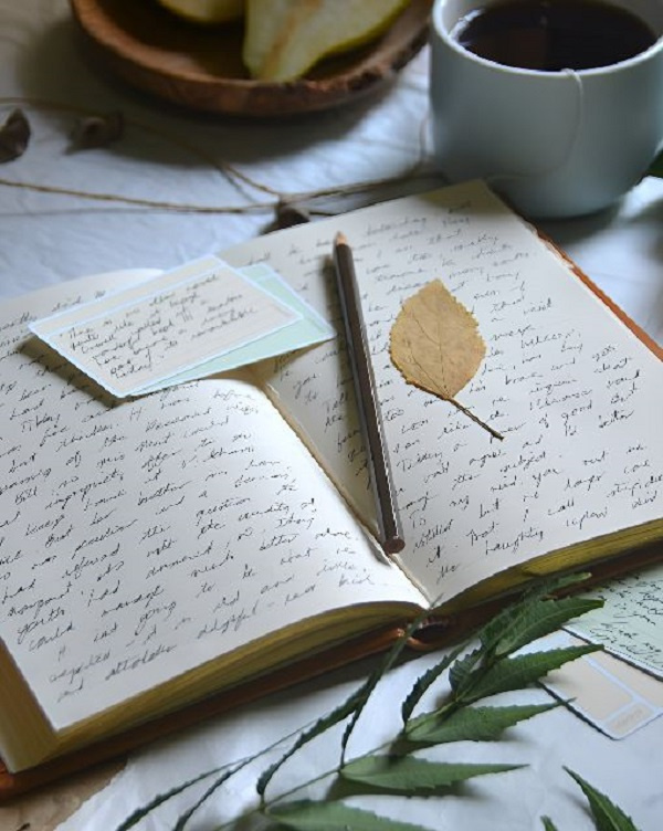 A pencil and a leaf  placed in the middle of a book