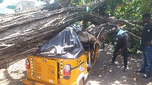 Tree Falls On Tricycle
