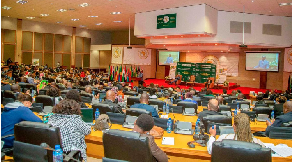 Delegates attending a session at the Pan-African Parliament in Johannesburg, South Africa