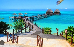 Zanzibar Spice Islands.png