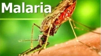 More than 95% of malaria is found in Africa.