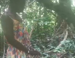 Watch as 48-year-old woman is arrested for allegedly burying grandchild alive