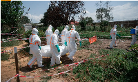 DRC Red Cross volunteers carry the body of an Ebola virus victim in Ituri Province, June 8, 2026