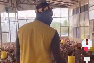 Gyan inside the Poultry farm