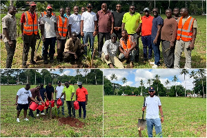 Shots from the tree-planting drive at the University of Ghana