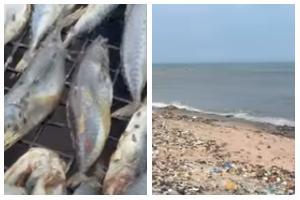 A screenshot of the footage