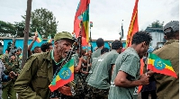 Amhara regional forces