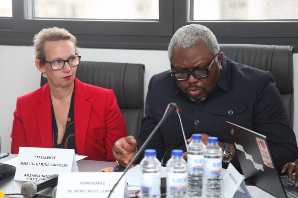 The consultation brought together approximately 30 representatives