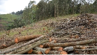 The proposed law is part of Rwanda's environmental conservation efforts