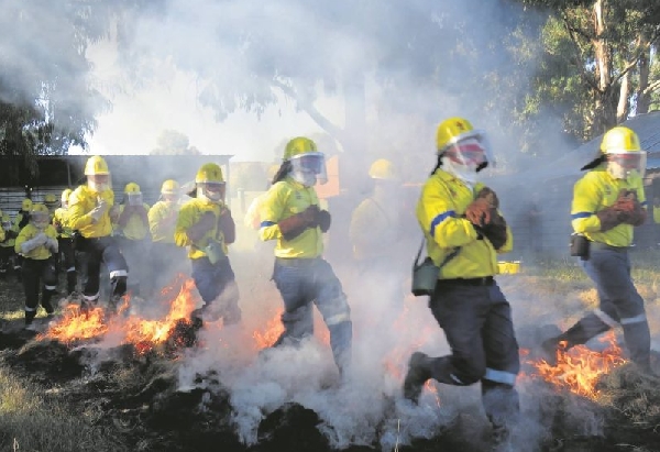 Firefighters in S.A are battling to put out wildfires in the wine-producing region of Cape Winelands