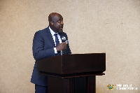 Zimbabwe Investment and Development Agency CECO Tafadzwa Chinamo speaking at the event