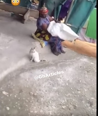 Ghanaian woman showcased her adept skills as she negotiated with a cat's owner