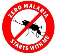 File photo of malaria awareness flier