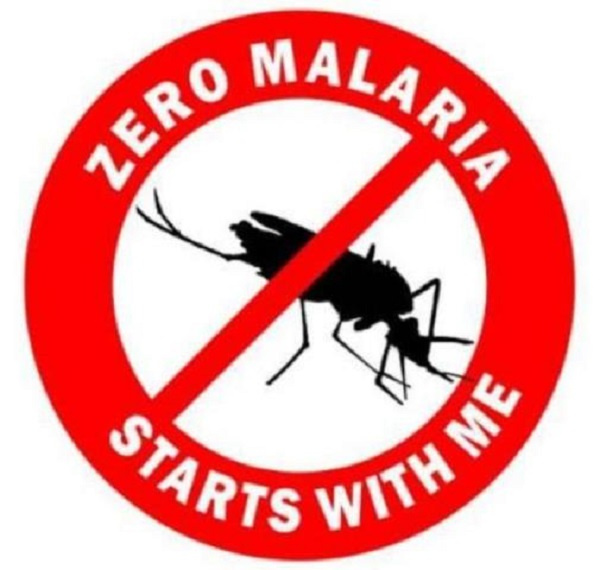 File photo of malaria awareness flier