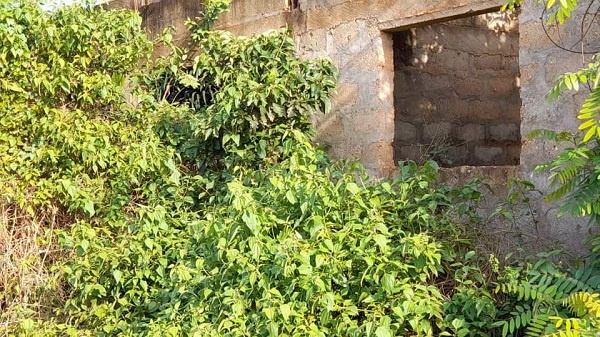 GhanaWeb's visit to the facility saw that weeds had taken over the place