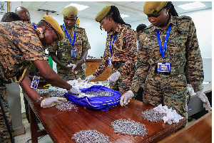 Kenyan wildlife officers sort live queen garden ants in court as two men face charges for smuggling