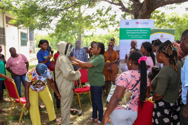 A shot at the Kings Lynn Beekeepers Association Apiary during a practical session