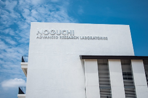 NOG 13 Min ScaledNoguchi Institute