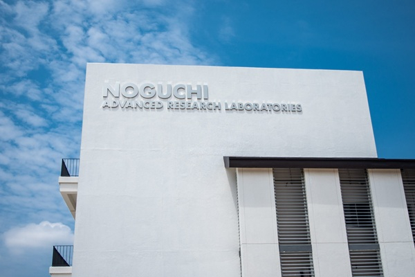 The Noguchi Institute discovery is described as a breakthrough